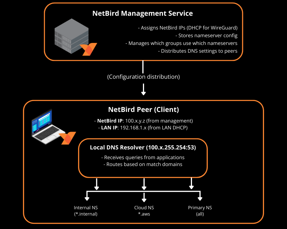 NetBird DNS resolution through routing peers