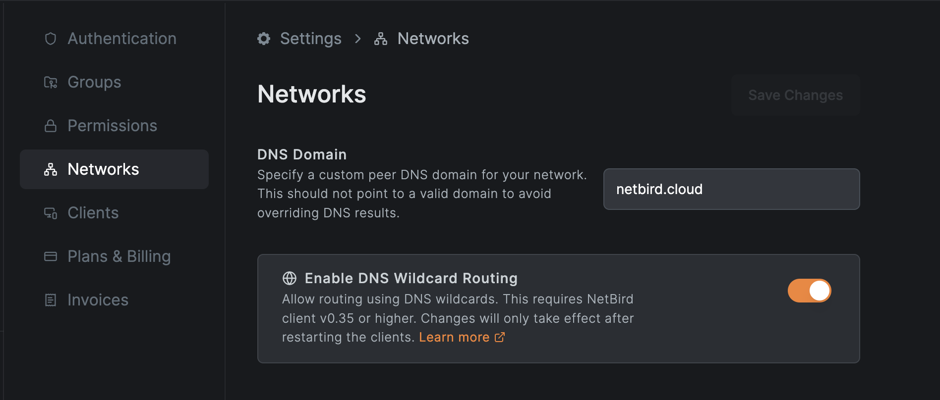 NetBird DNS Domain