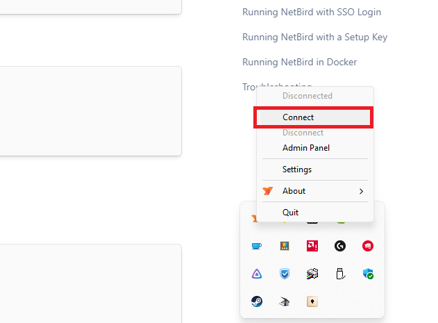 NetBird Windows Connect